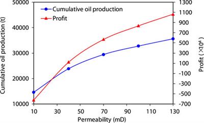 Study on optimization and mechanism of CO2 injection to enhance oil recovery in mid-deep heavy oil reservoirs